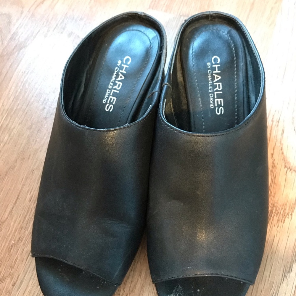 Charles David mules